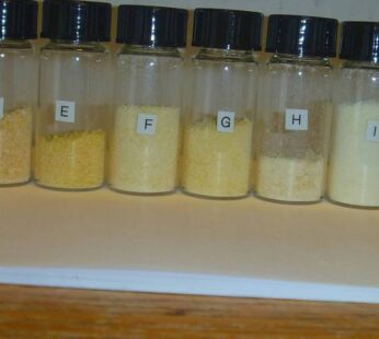 How To Make NN Dmt​