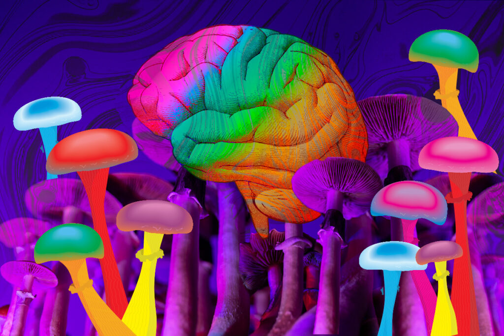How Psilocybin Works in the Brain