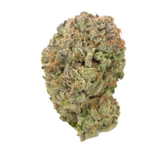 Buy Greasy Bubba Indica Strain Online