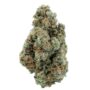 Sour Amnesia Sativa