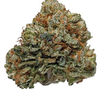 Buy Paris OG Indica